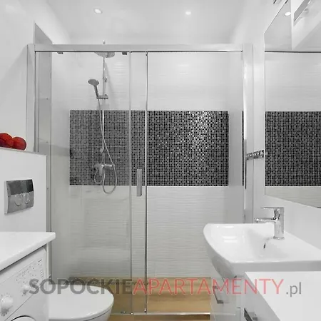 Apartment Sopockie - Moderno